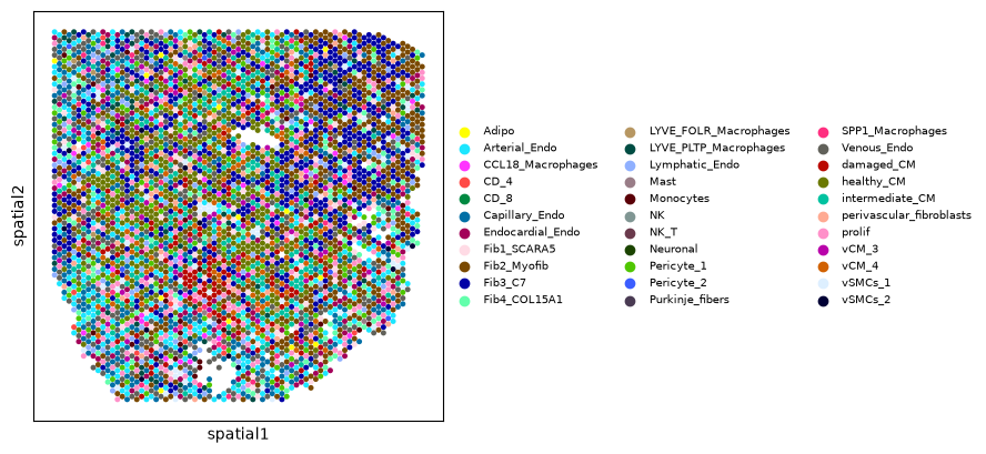../_images/notebooks_Nichesphere_tutorial_MIvisium_16_1.png