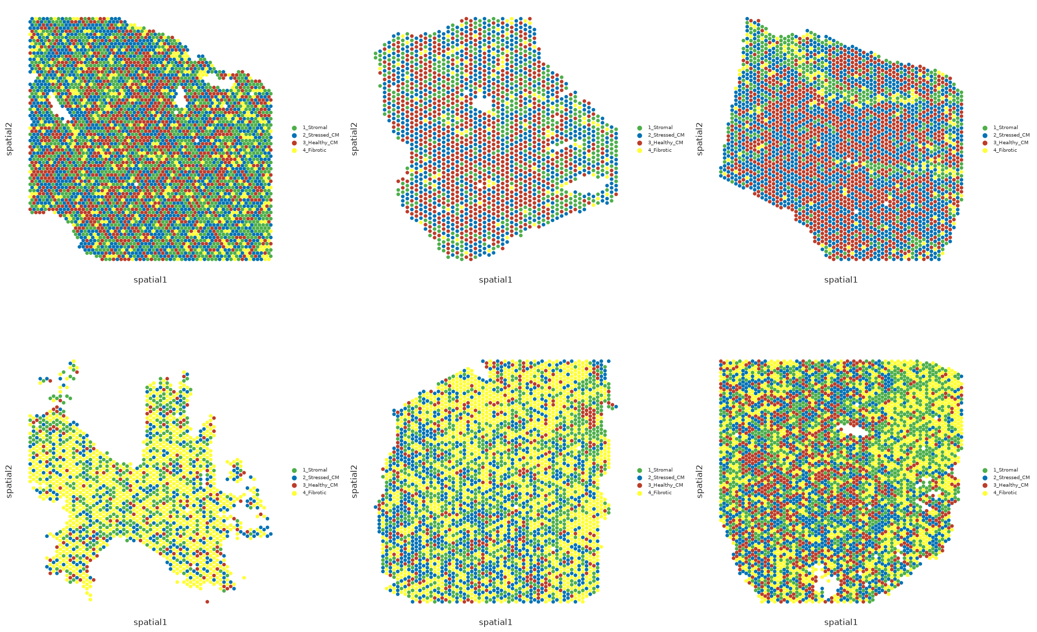 ../_images/notebooks_Nichesphere_tutorial_MIvisium_57_12.png