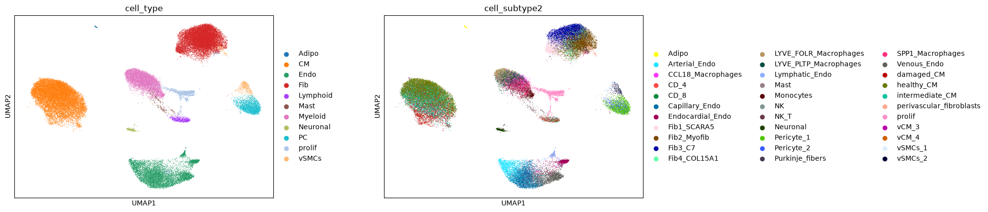 ../_images/notebooks_Nichesphere_tutorial_MIvisium_7_0.png